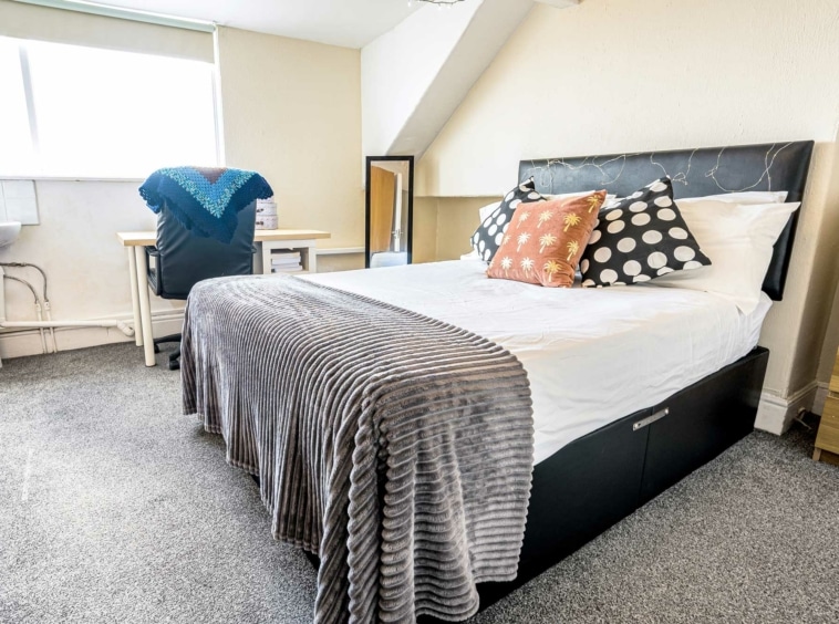 Student house for rent at 13 St Albans Road, Brynmill, Swansea