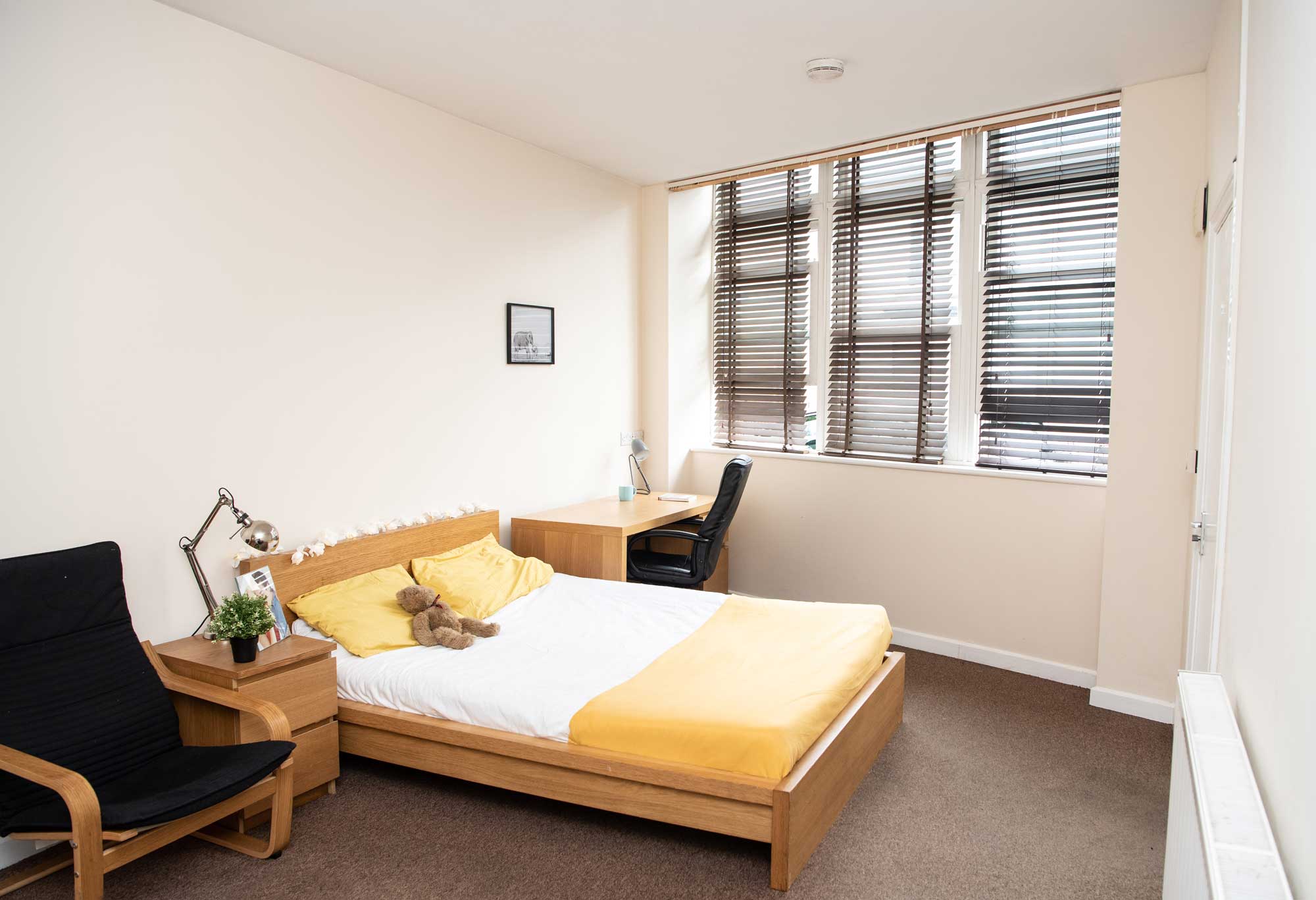 Student flat at The Mutley Tavern, one bedroom studio apartment in Plymouth